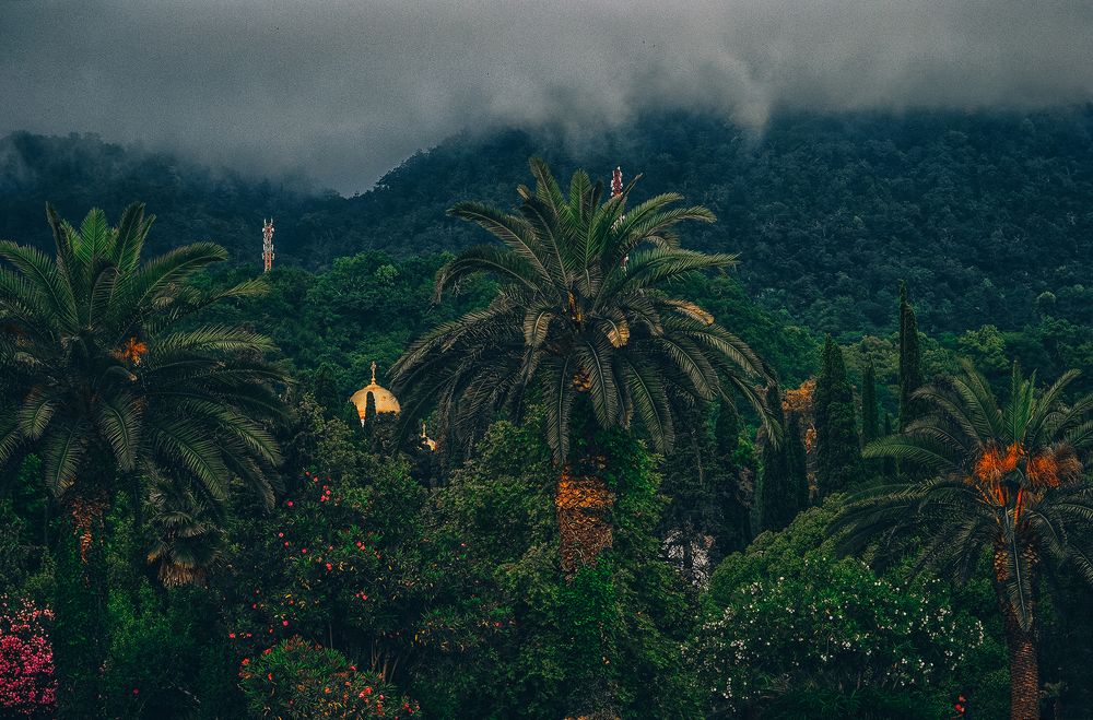 Photograph by Анастасия Шибитова