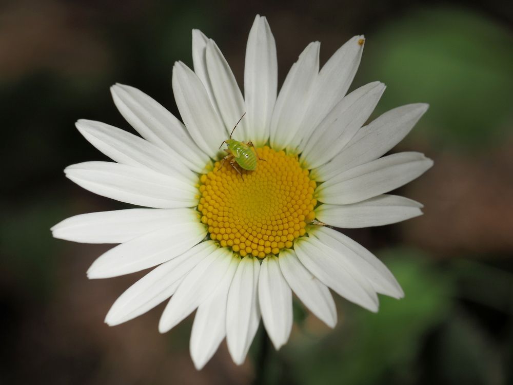 Photograph by Артем Харисов