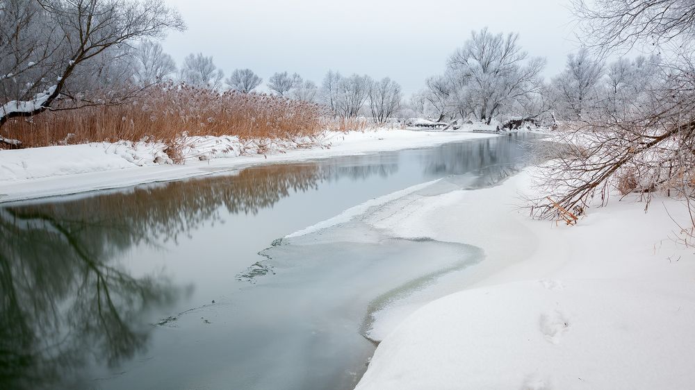 Фотография автора Николай Носов