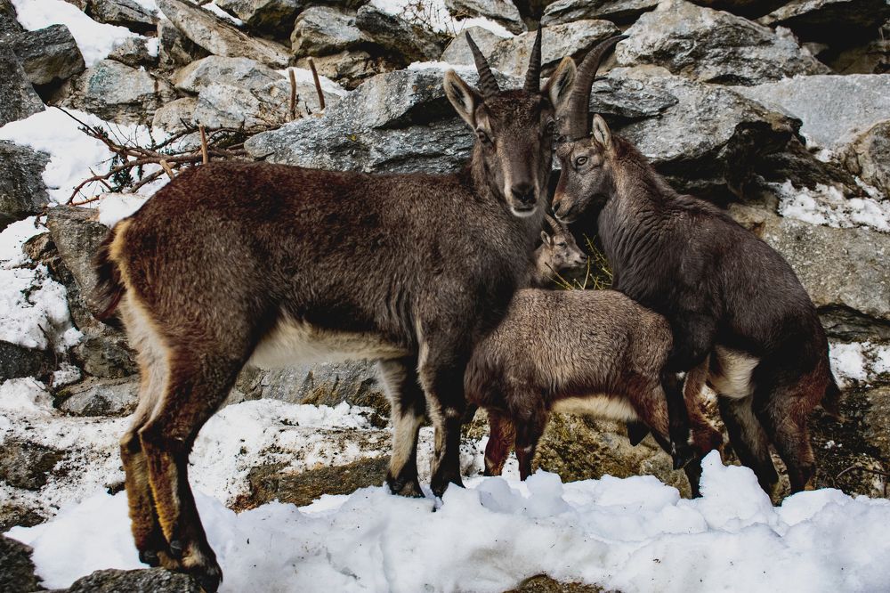 Неловко вышло