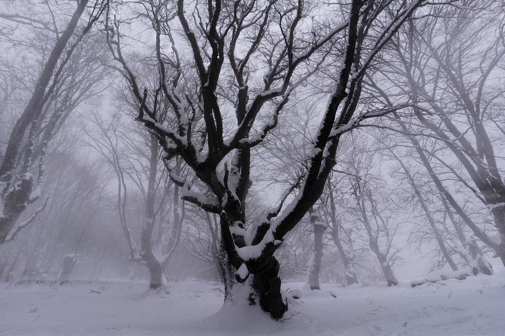 Фотография автора Глеб Хлопунов