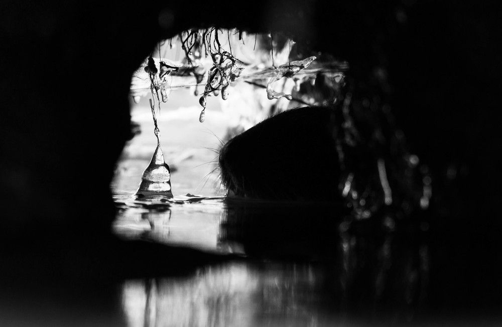 Welcome in my empire