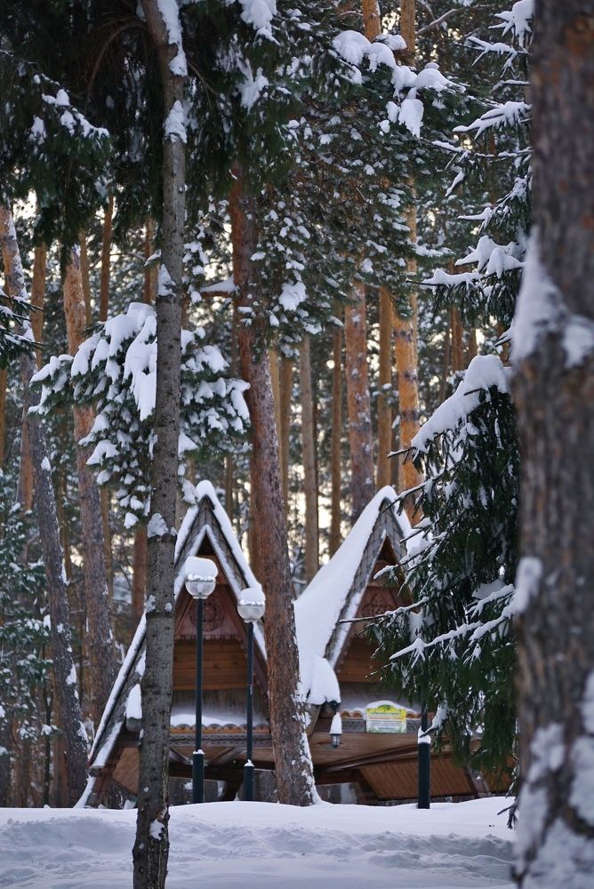 Photograph by Александр Попов