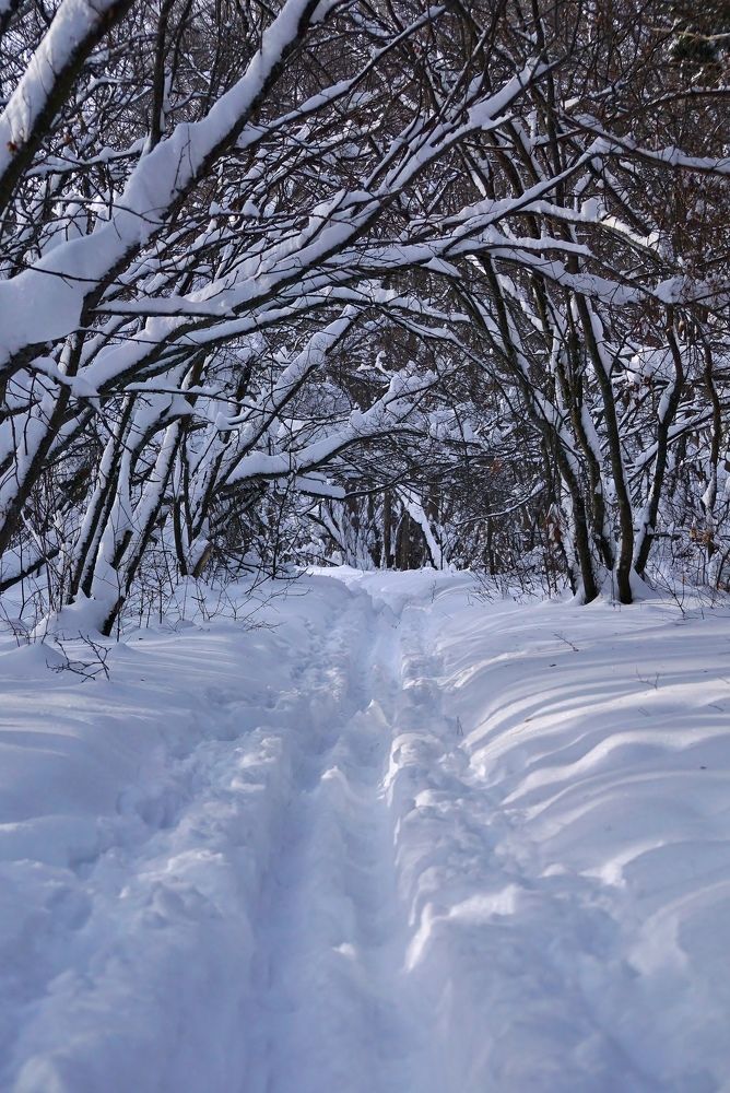 Photograph by Александр Попов