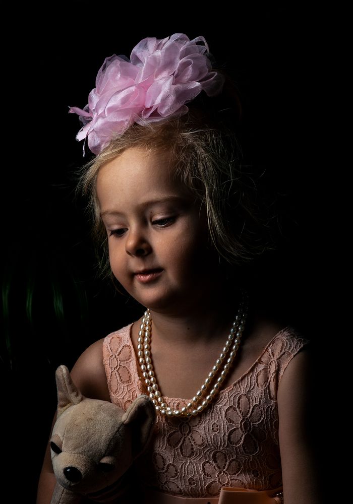 Подражвя голландским художникам