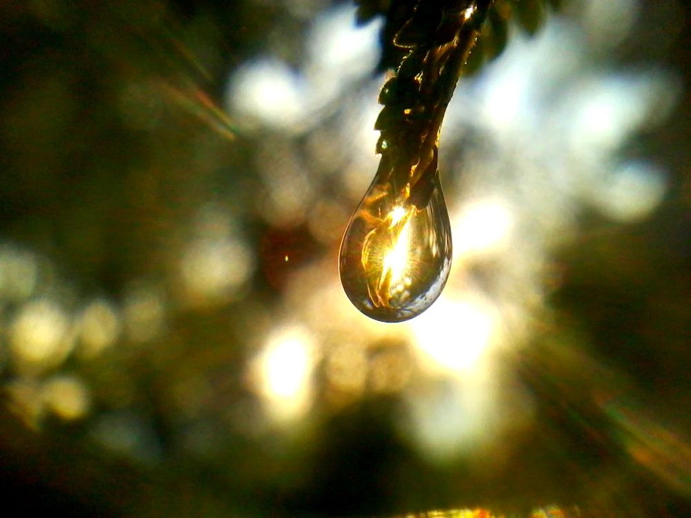 Little Light