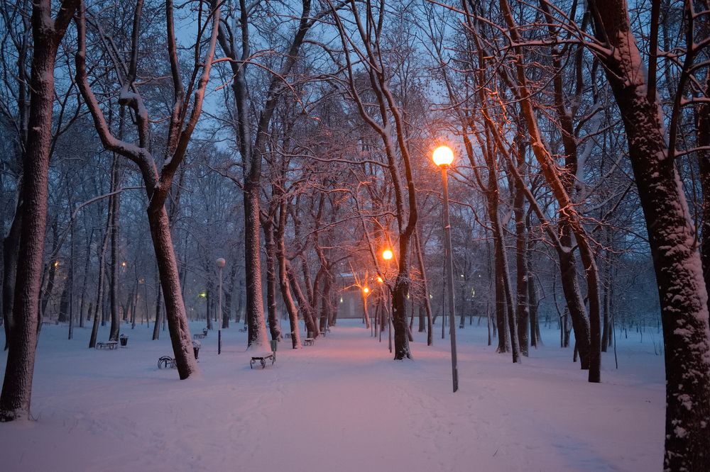 Зимний парк