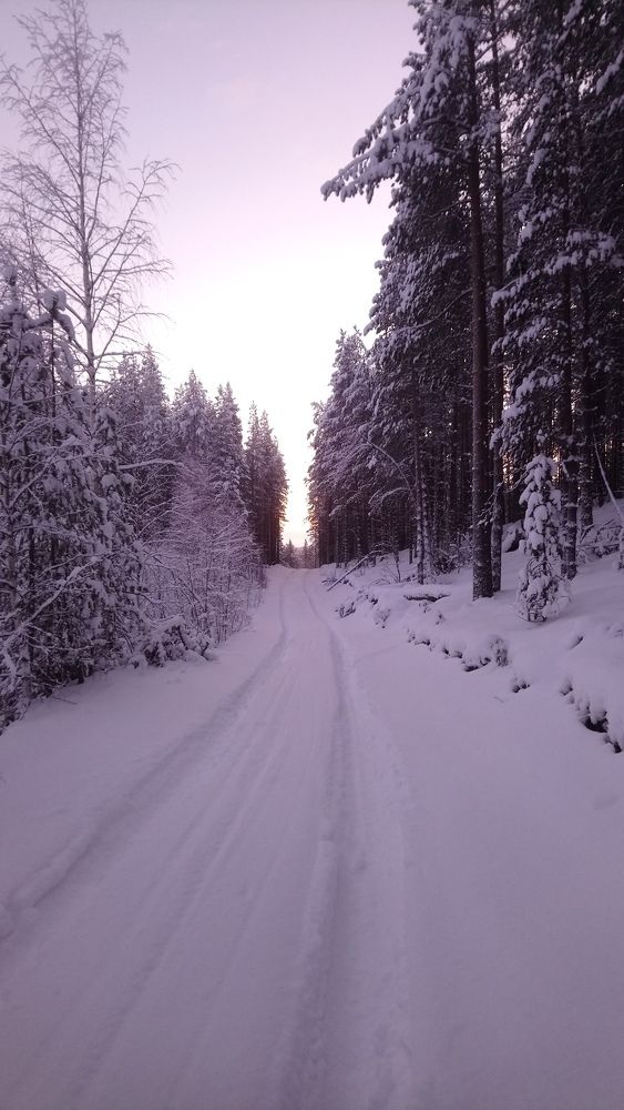 Зимняя дорога