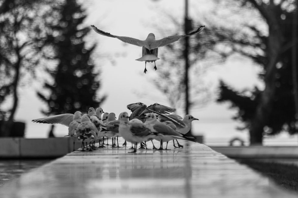 Время улетать