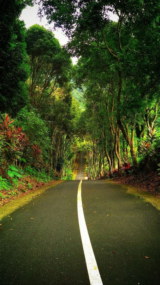 Road to heaven