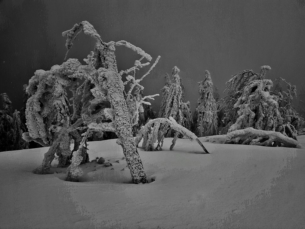 Photograph by Marcin Sokolowski - maarew