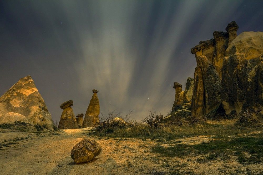 Ночной консилиум