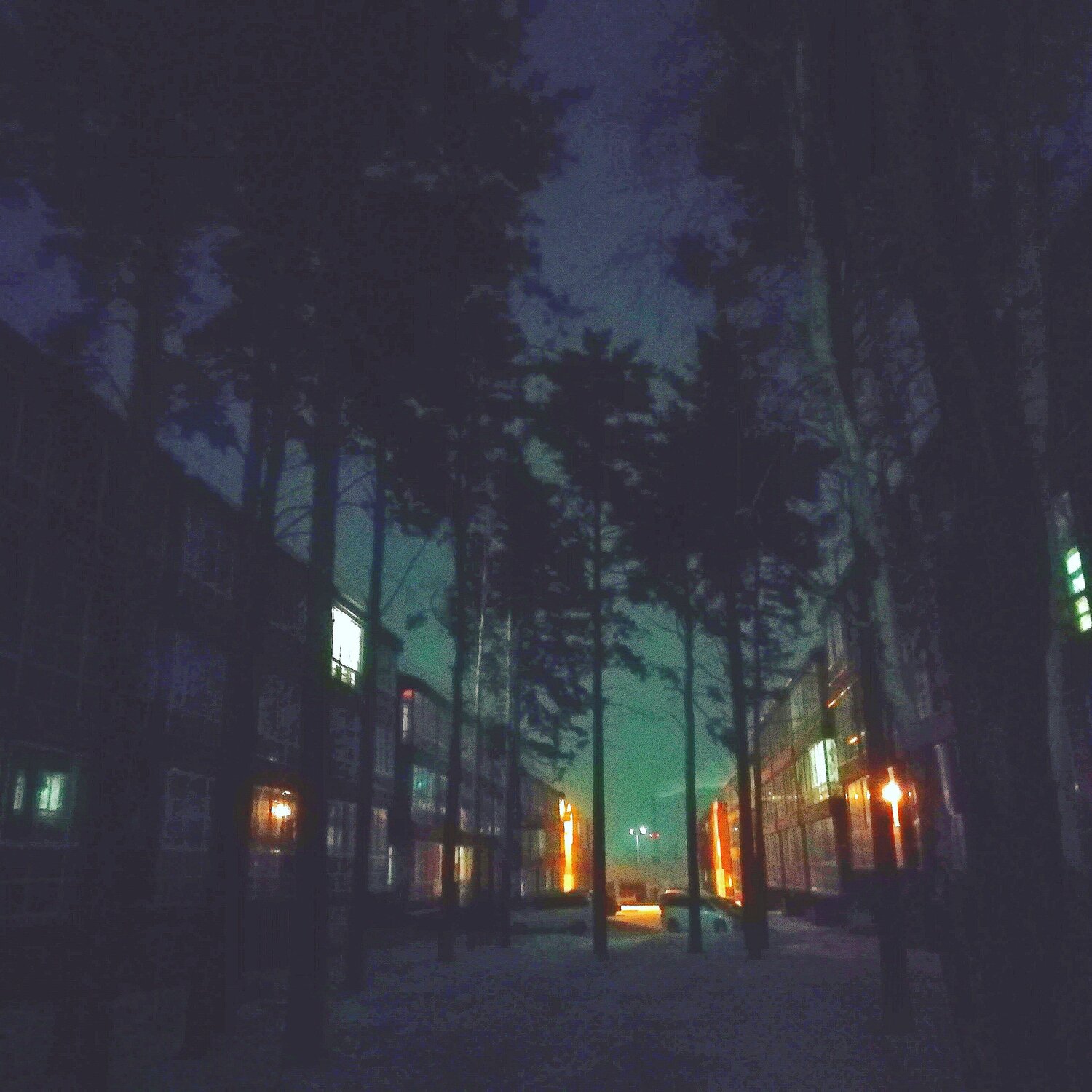 Дорога домой