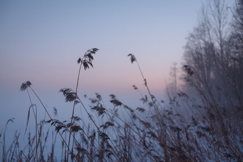 Туман на Суздальском озере