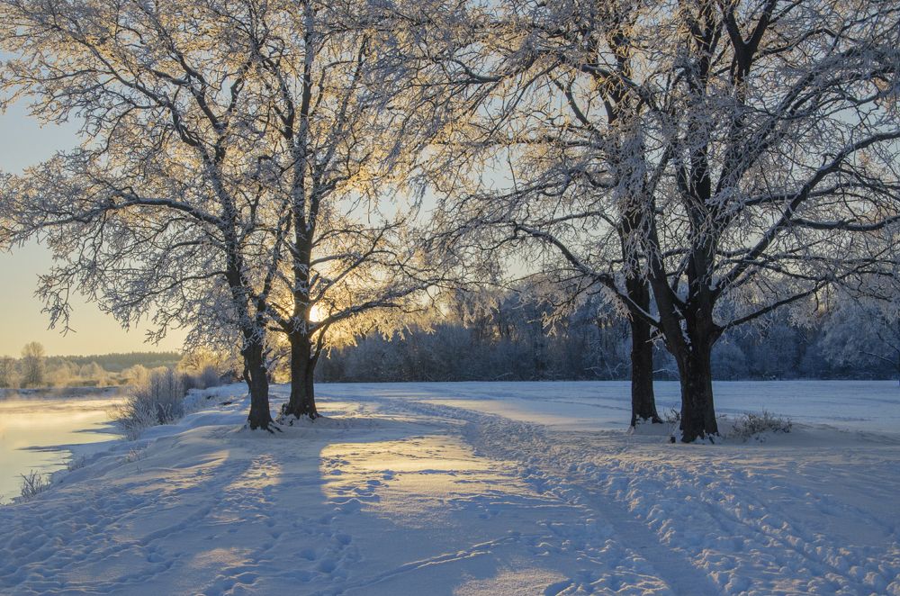 Морозное утро
