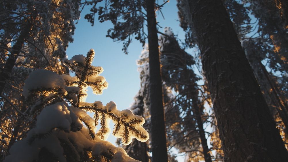 Somewhere in Narnia