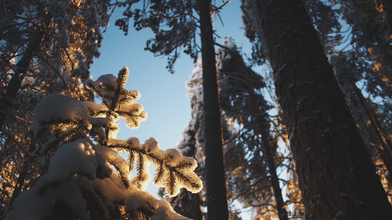 Somewhere in Narnia