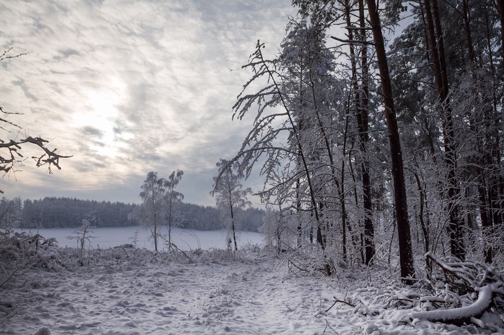 Зимний вечер