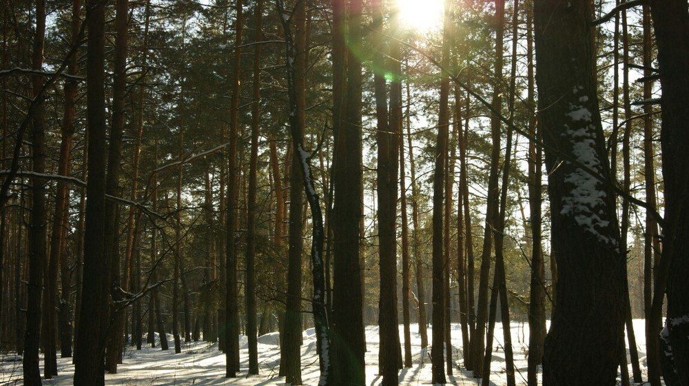 Photograph by Анастасия Аргунова