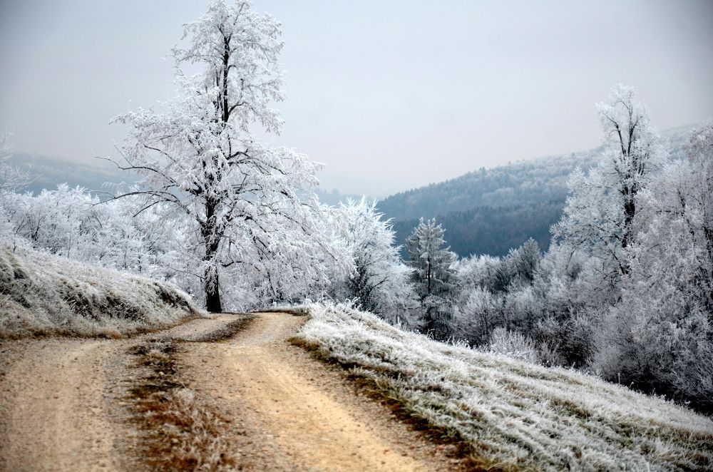 Winter in Slovenia