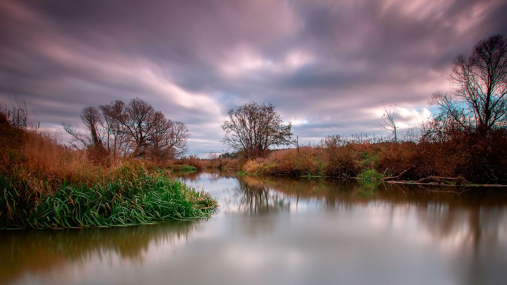 Фотография автора Николай Носов
