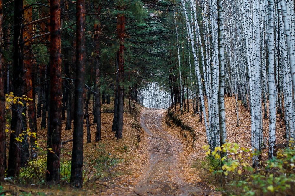 Две стороны