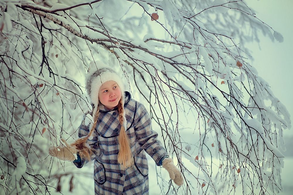 Снежные ветви