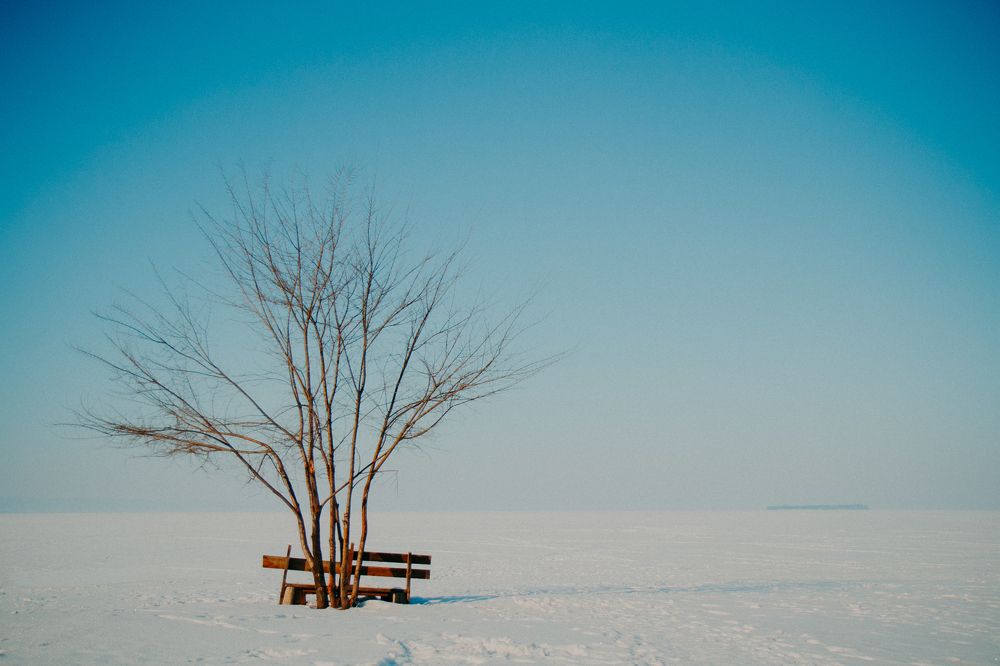 В ожидании весны