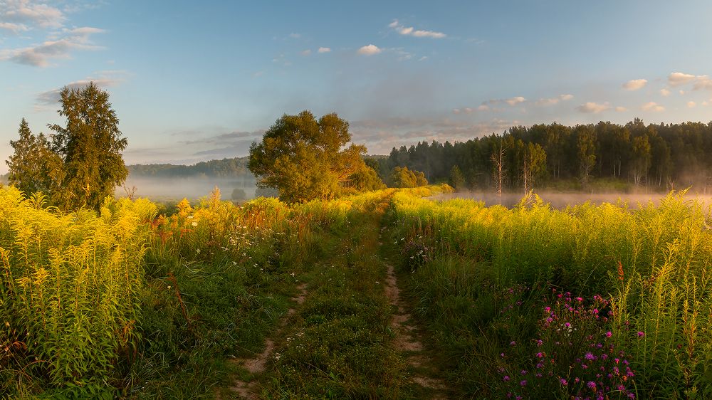 Фотография автора Николай Носов