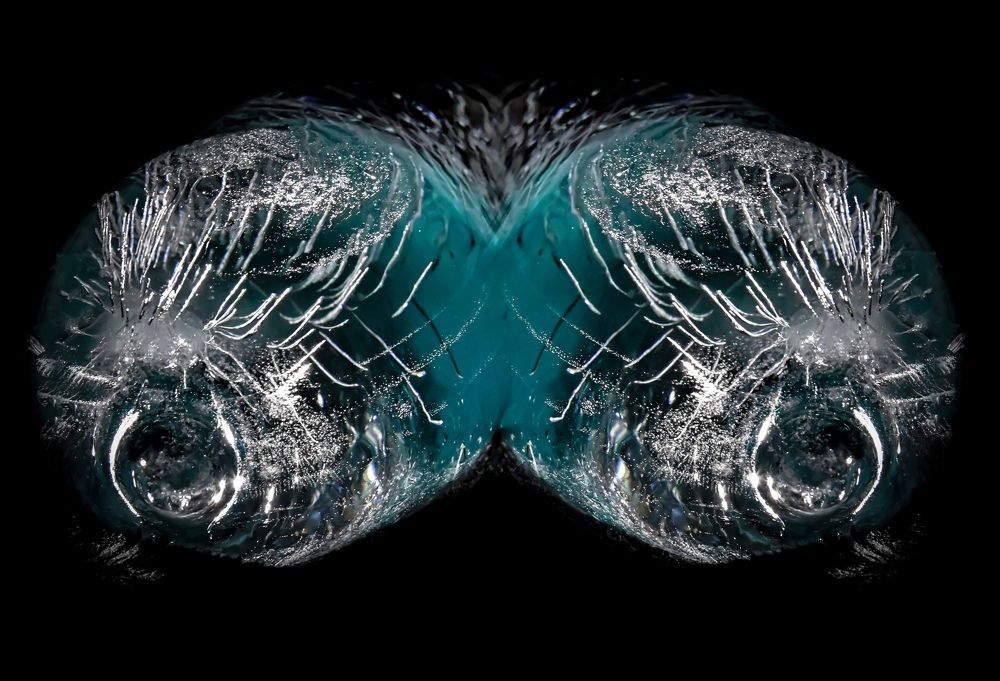 Фотография автора Anna NovaLova