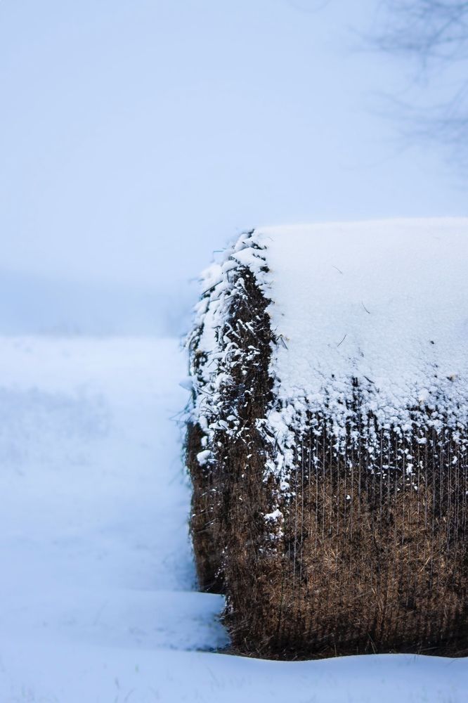 Winter Time