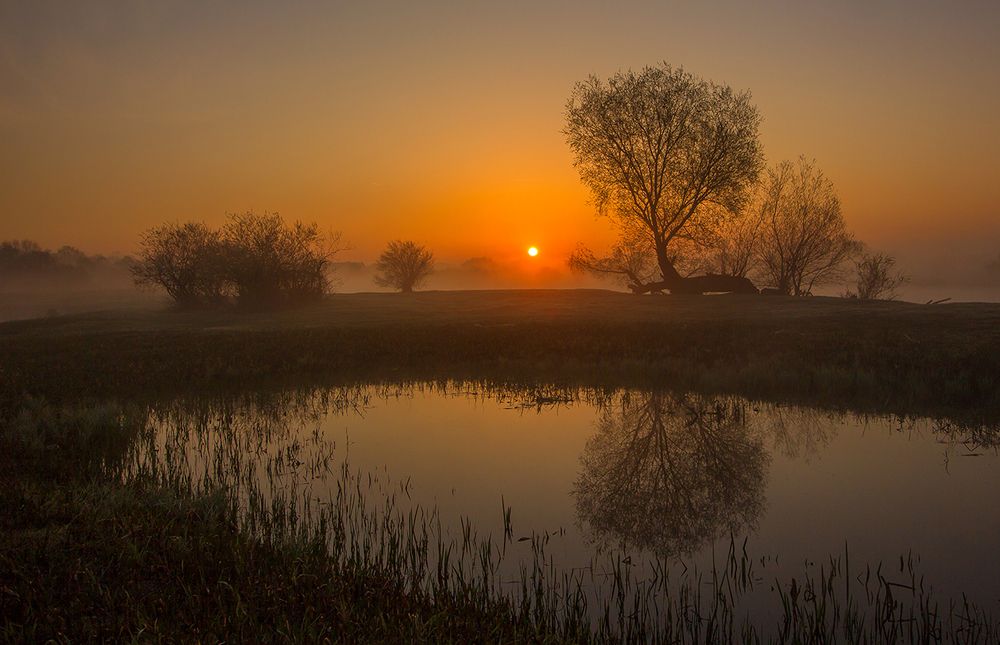 Morning on the river