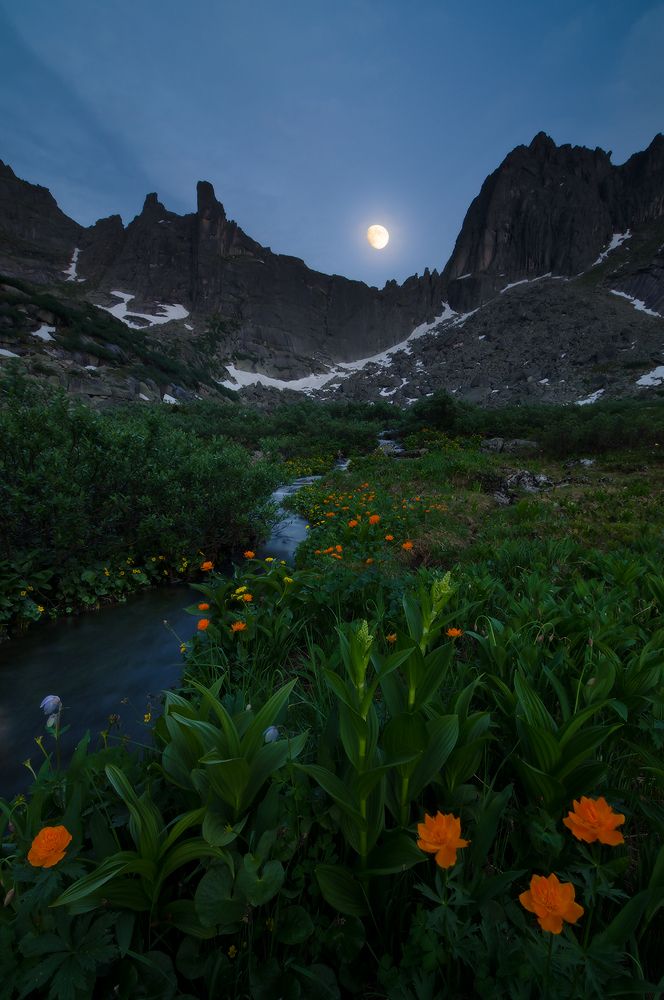 в лунный полдень