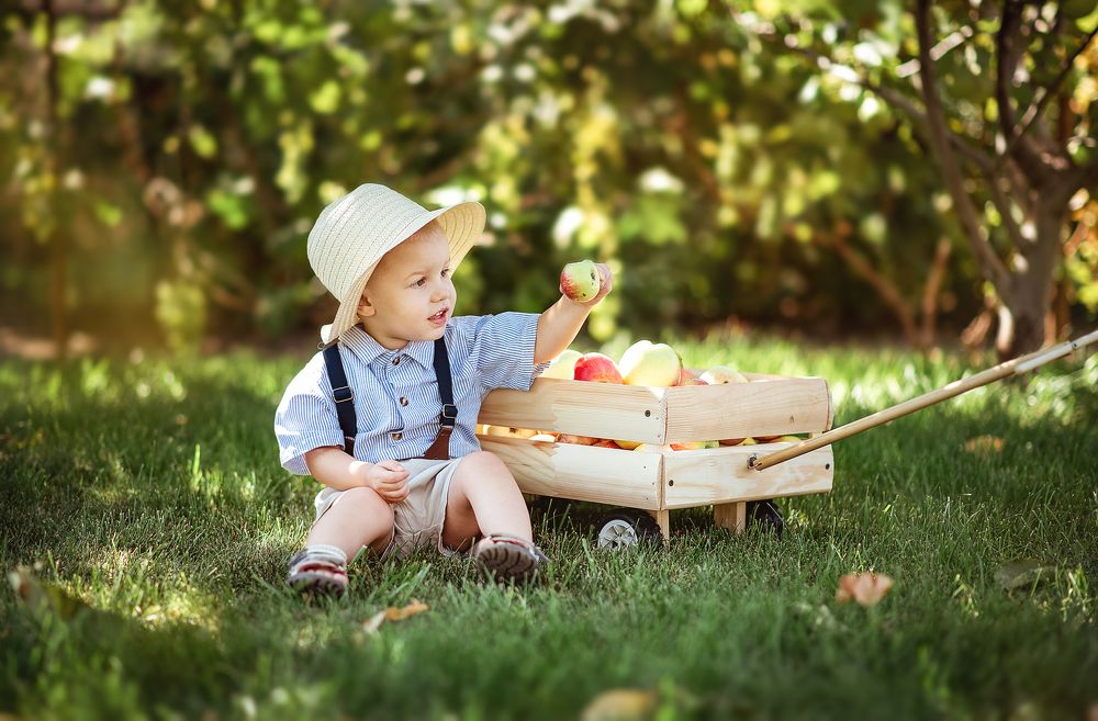 маленький садовник