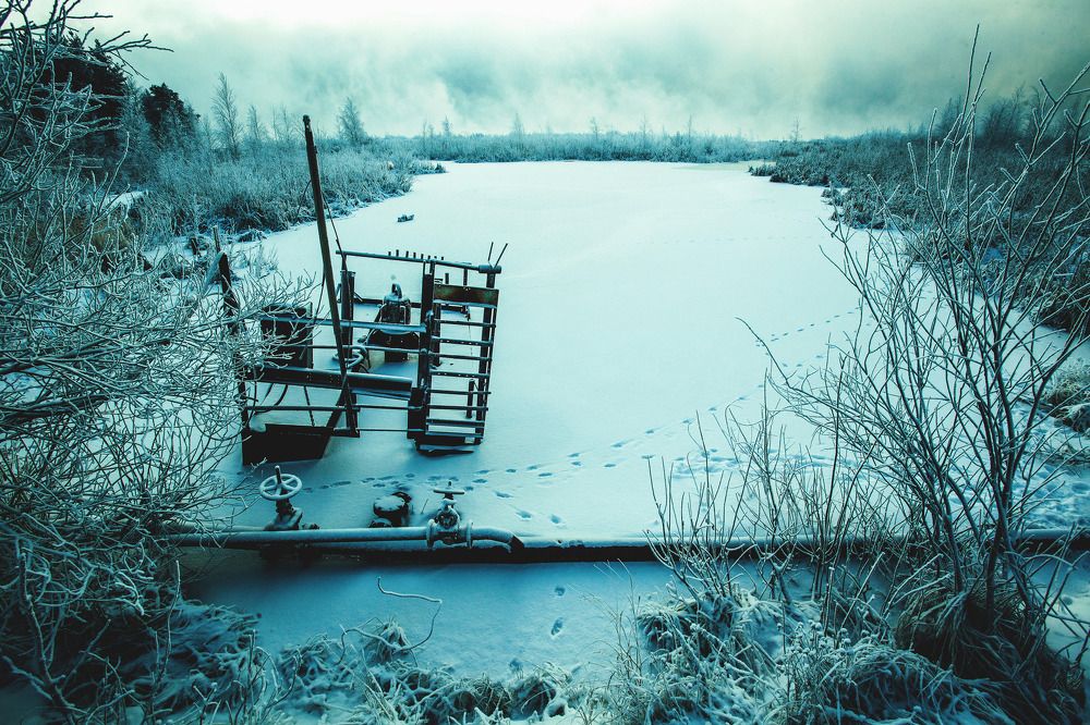 Photograph by Виталий Гуляев