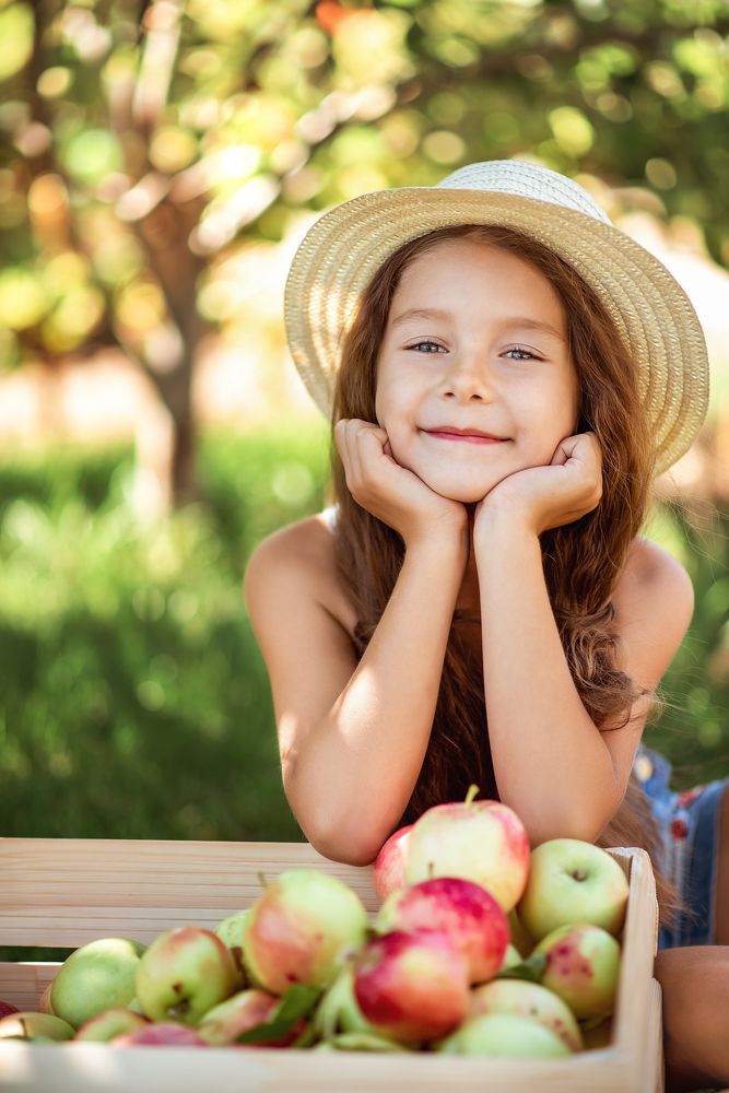 яблочное путешествие