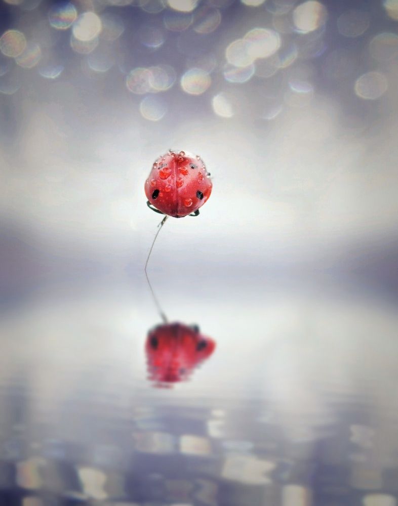 Наедине с собой