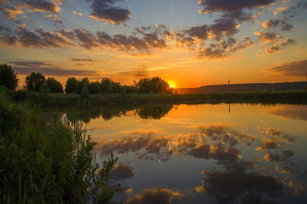 Закат на пруду