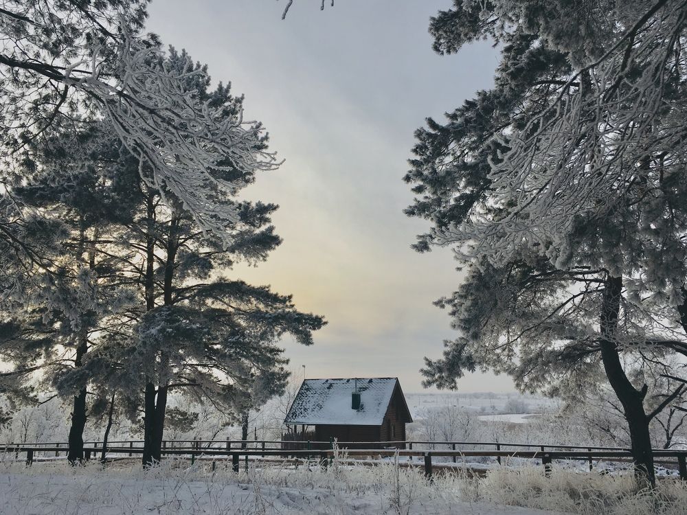 Домик в лесу