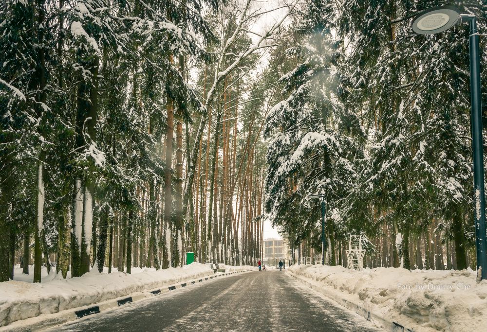 Парк "Елочки"