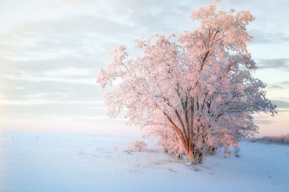 Рассвет цвета зефир