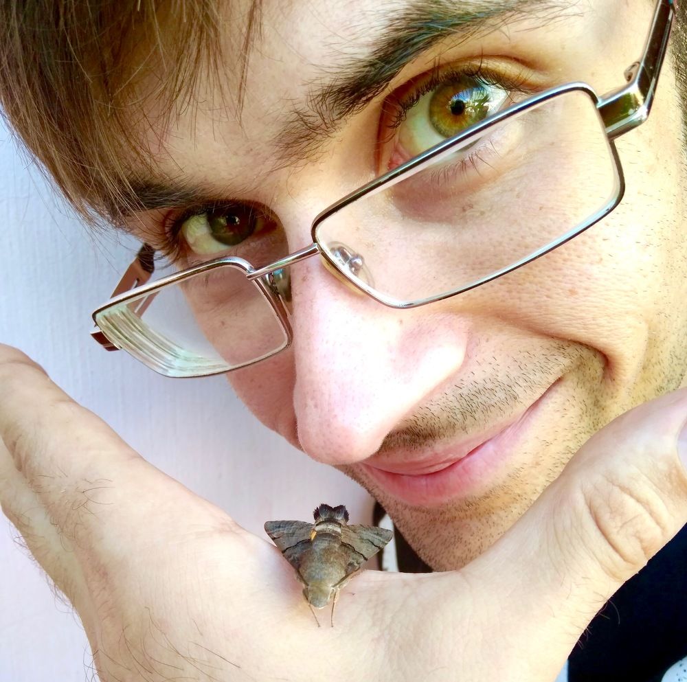 Взгляд на бабочку