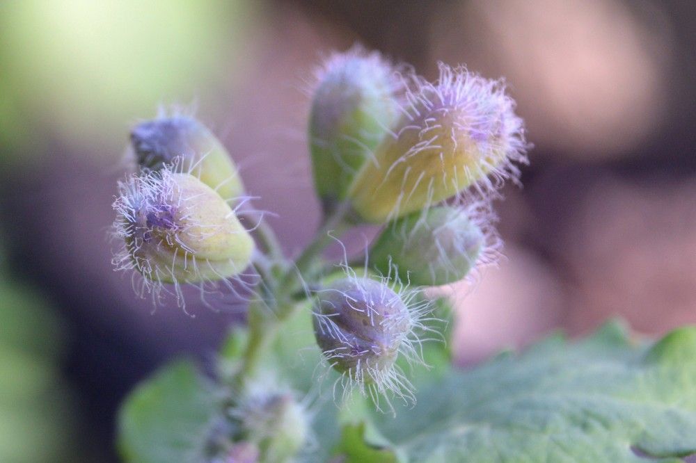 Удивительное рядом....Но иногда оно настолько мало,Что мы его не замечаем...