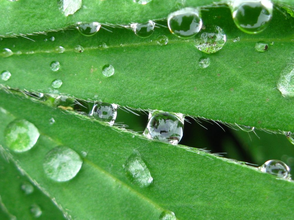 капли бывают не только круглыми