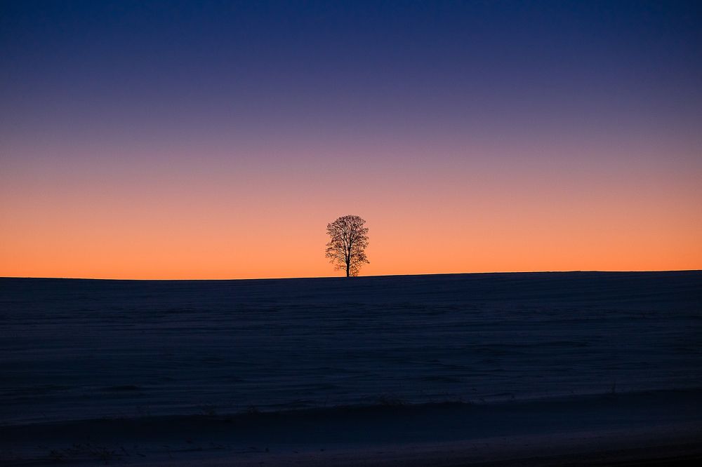 зимний рассвет