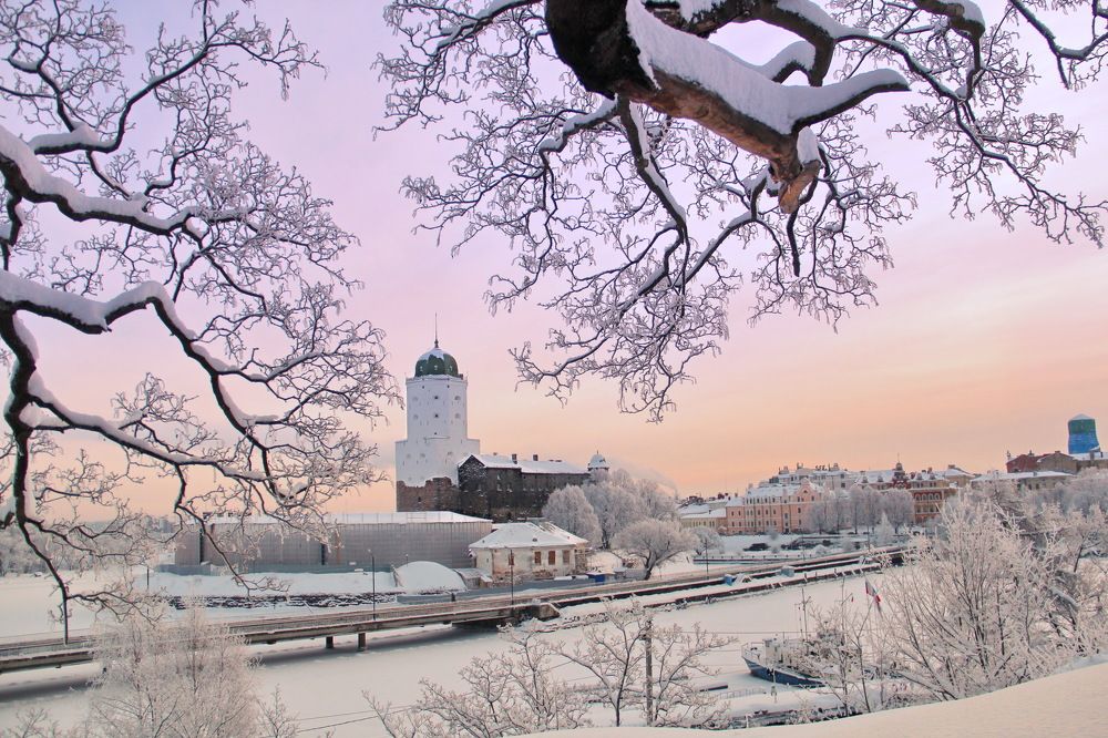 Выборгский замок