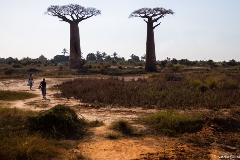 Тайна третьей планеты