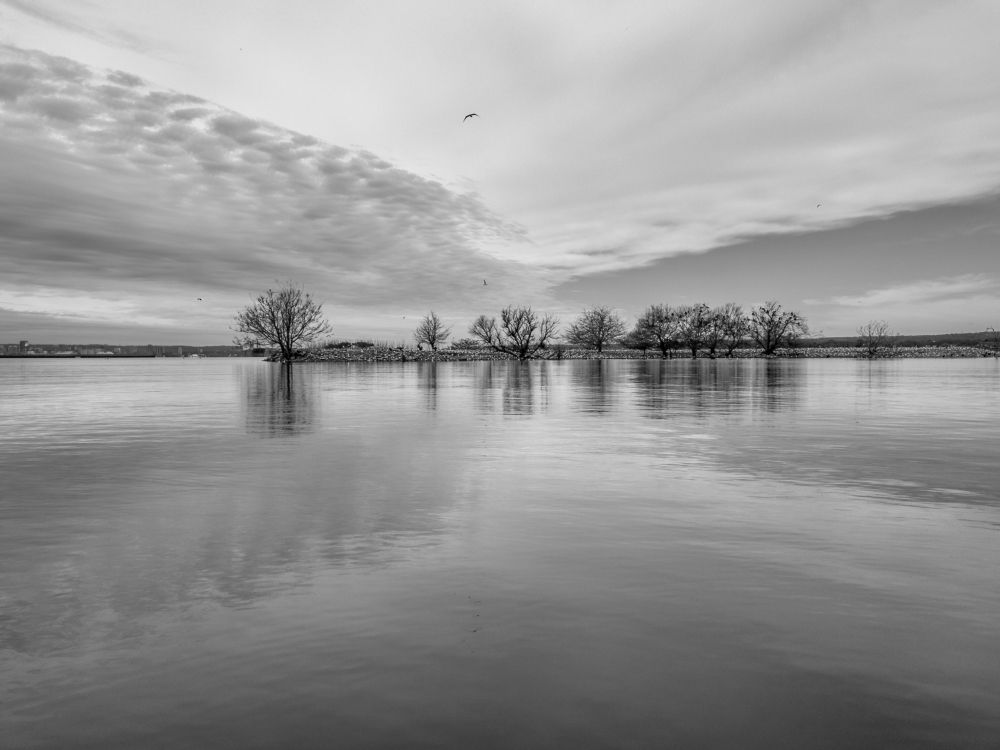An island and sky reflection across lake
