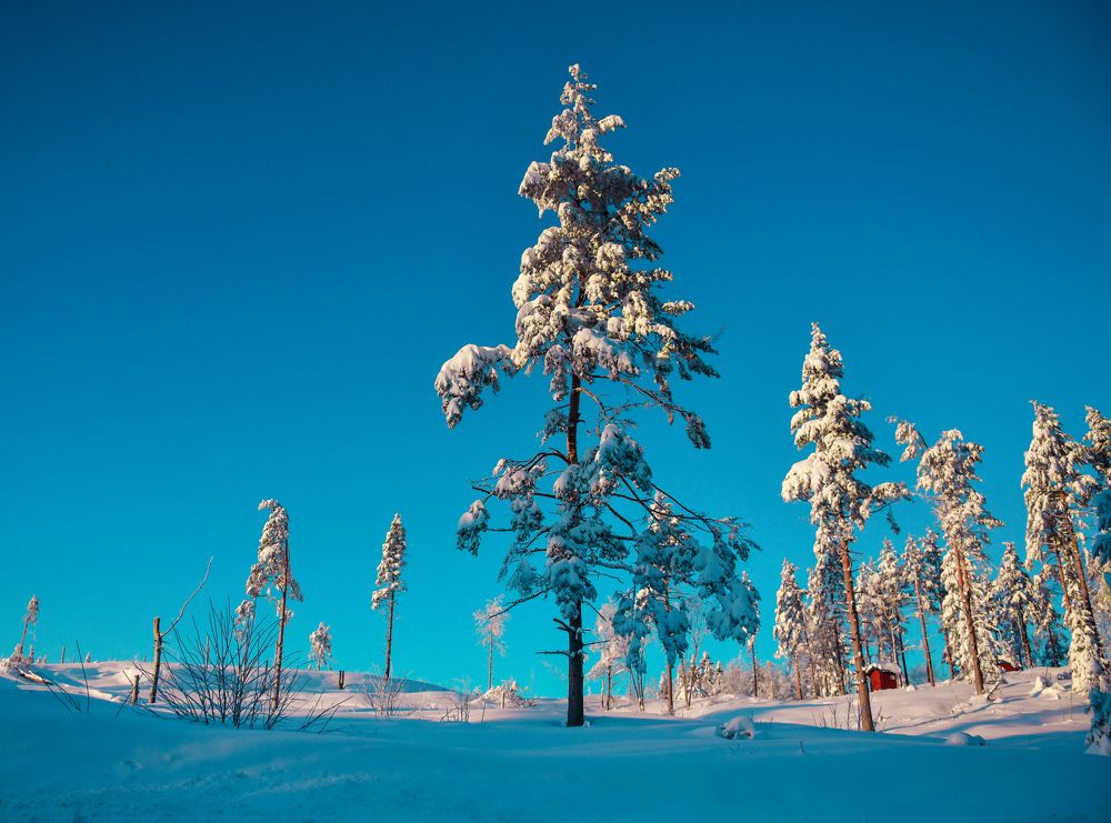 Фотография автора Anna NovaLova