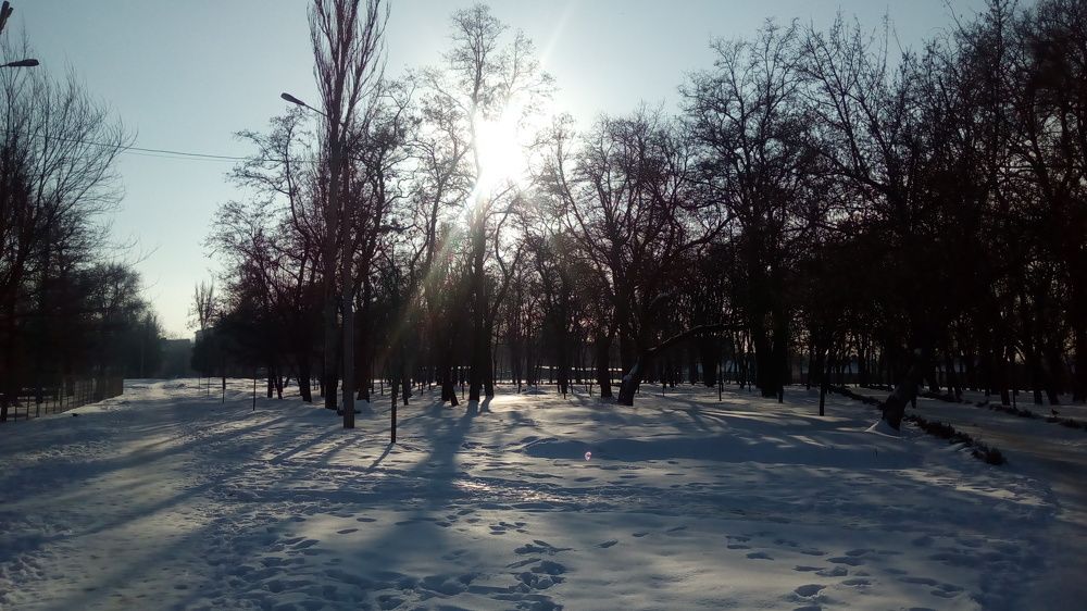 Мороз и солнце